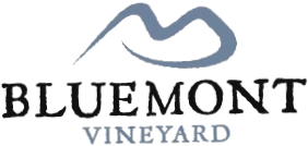 Bluemont Vineyard