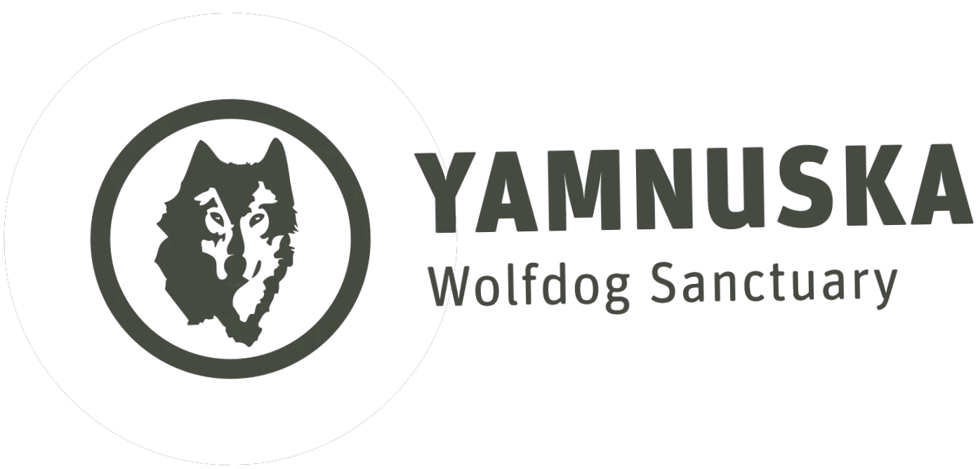 Yamnuska Wolfdog Sanctuary