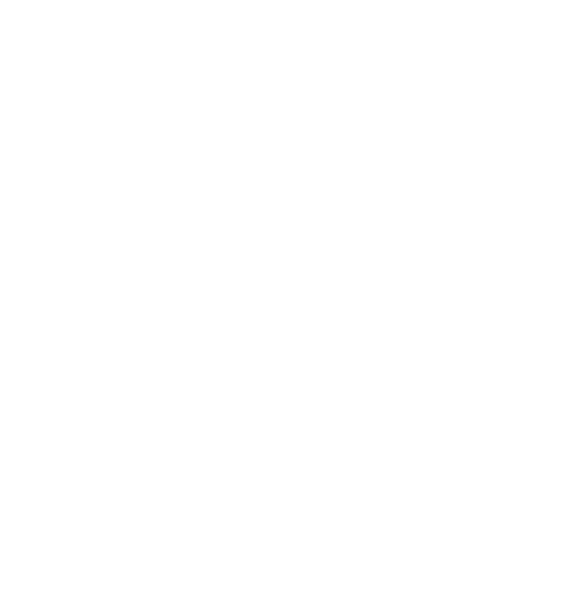 21 Brix