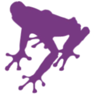 purple toad winery