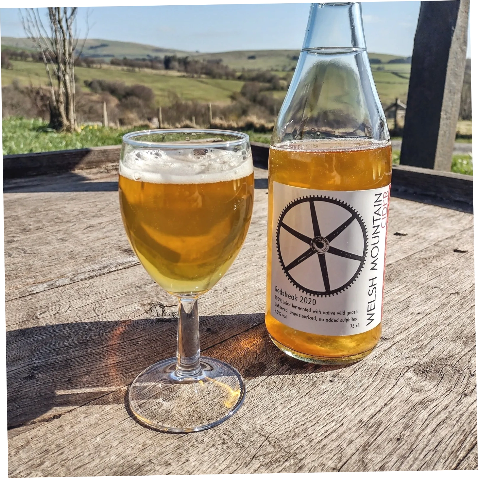 Welsh Mountain Cider