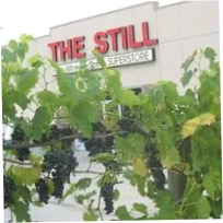 The Still