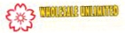 Wholesale Unlimited Hawaii