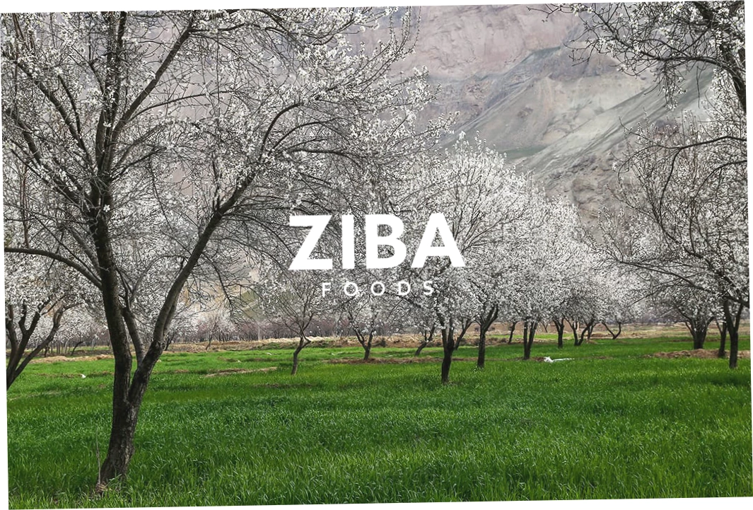 Ziba Foods