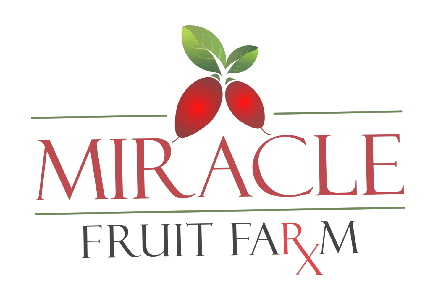Miracle Fruit Farm
