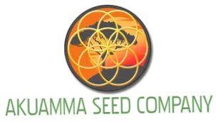 Akuamma Seed Company