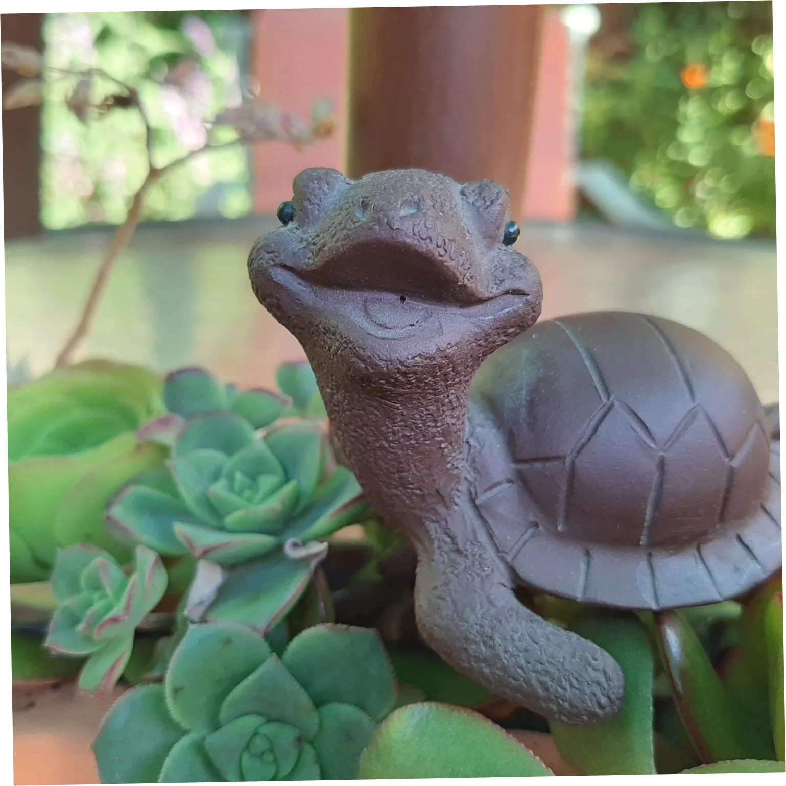 Cosmic Tortoise Tea