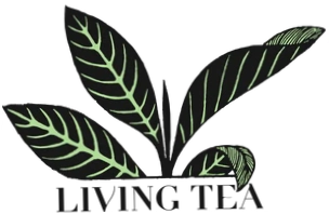 Living Tea