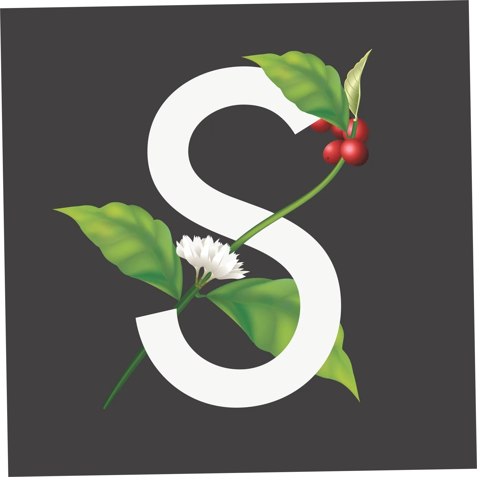 SOMA COFFEE COMPANY