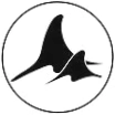 BlackFin