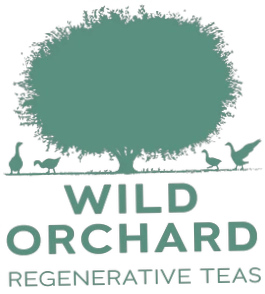 Wild Orchard