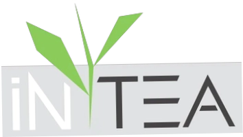 In Tea