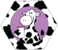Bessie's Best Lactation Cookies
