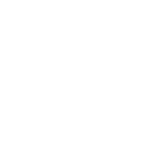 Aurora Grace Chocolates