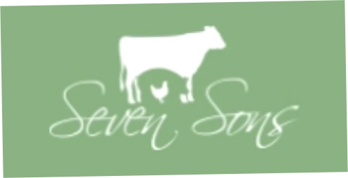 Seven Sons