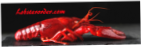 Lobsterorder.com