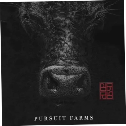 PURSUIT FARMS