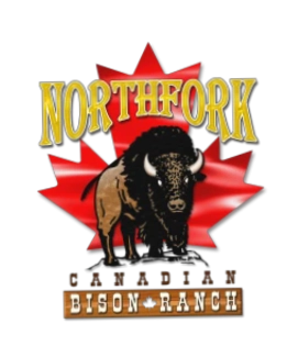 Northfork Bison