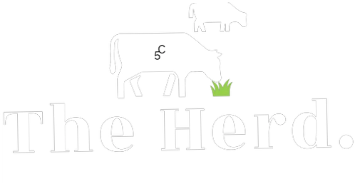 The Herd