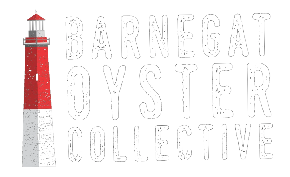 Barnegat Oyster Collective