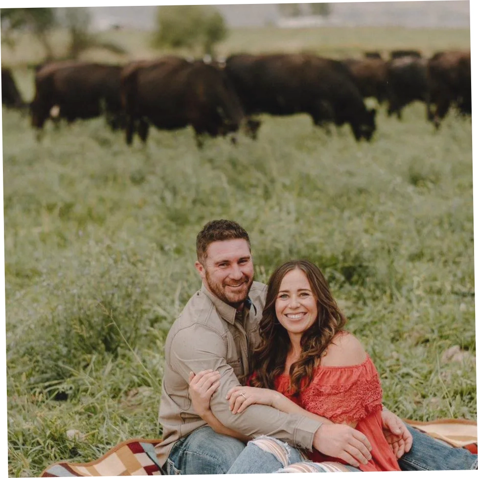 BMB Cattle