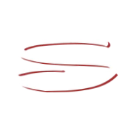 Sukhi's