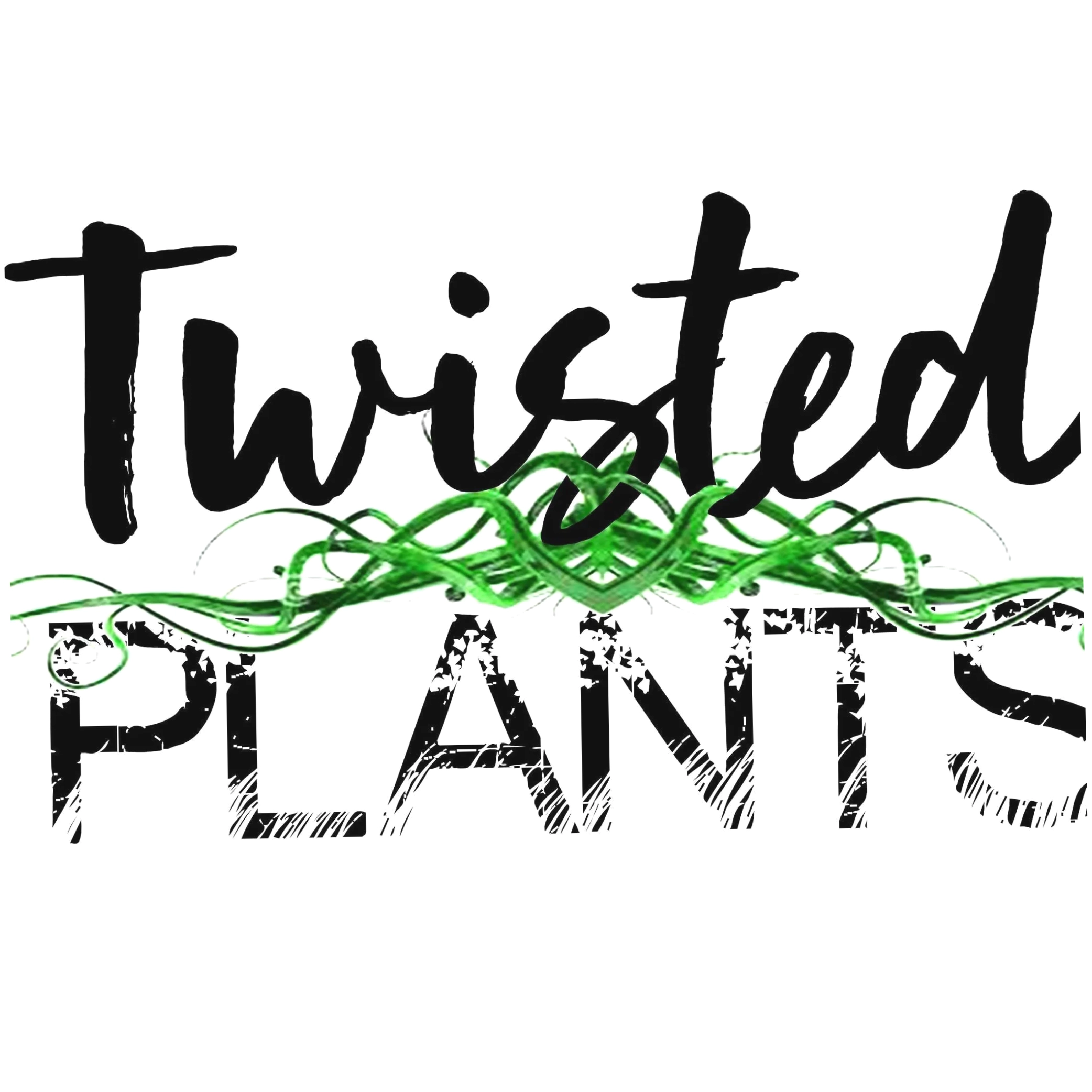 Twisted Plants