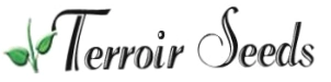 Terroir Seeds