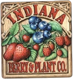 Indiana Berry