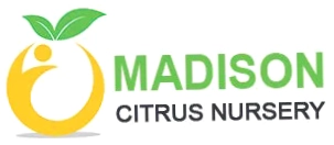 MadisonCitrusNursery