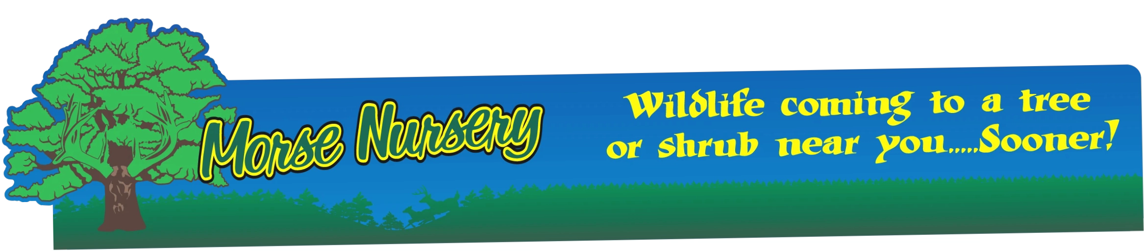 Morse Nursery