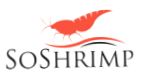 SoShrimp