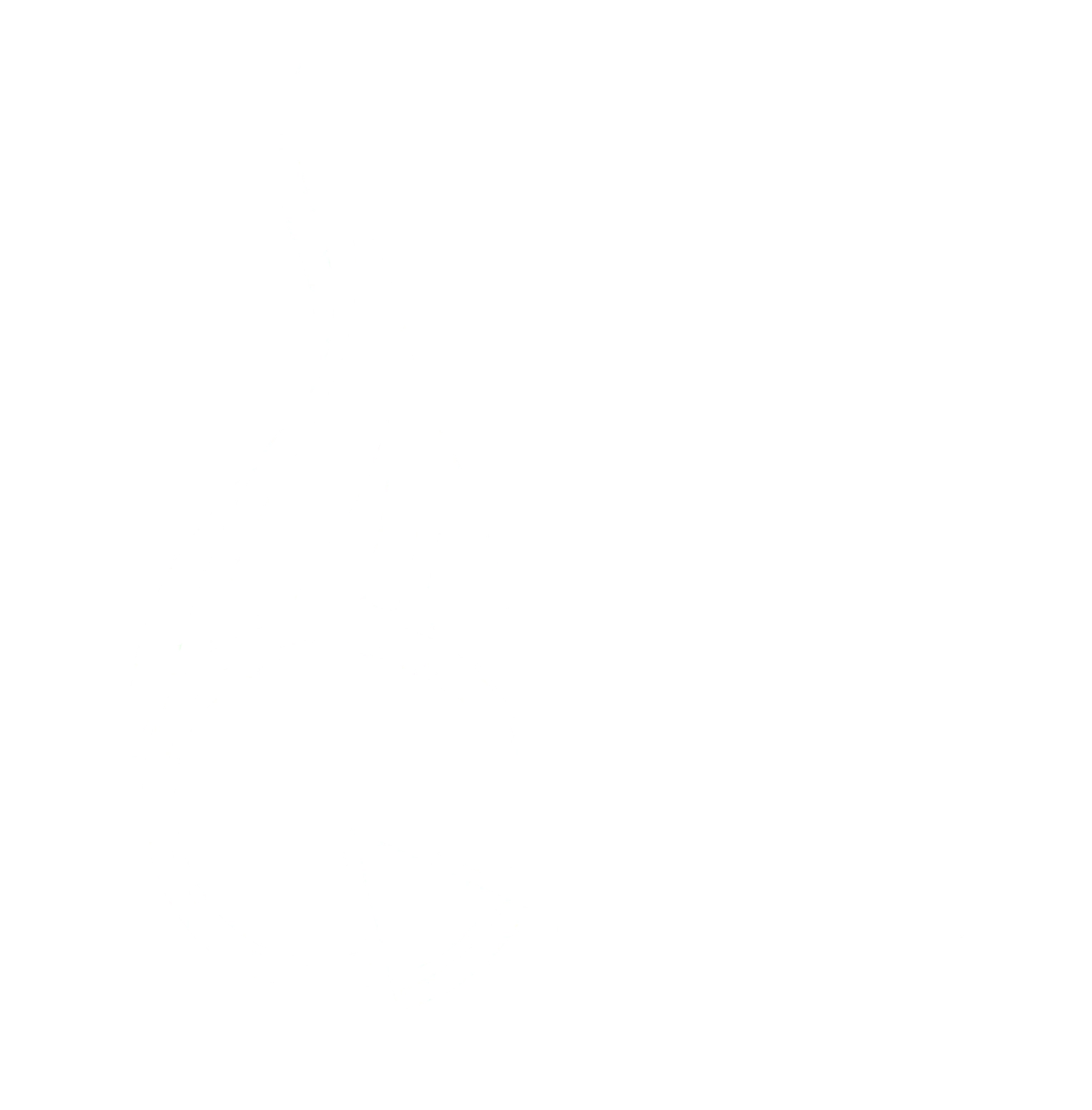 Catch A Fire Pizza