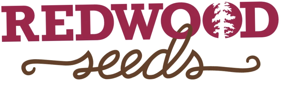 Redwood Seeds