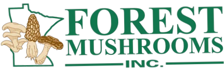 Forest Mushrooms