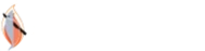 Shelsky's