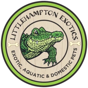 Littlehampton Exotics