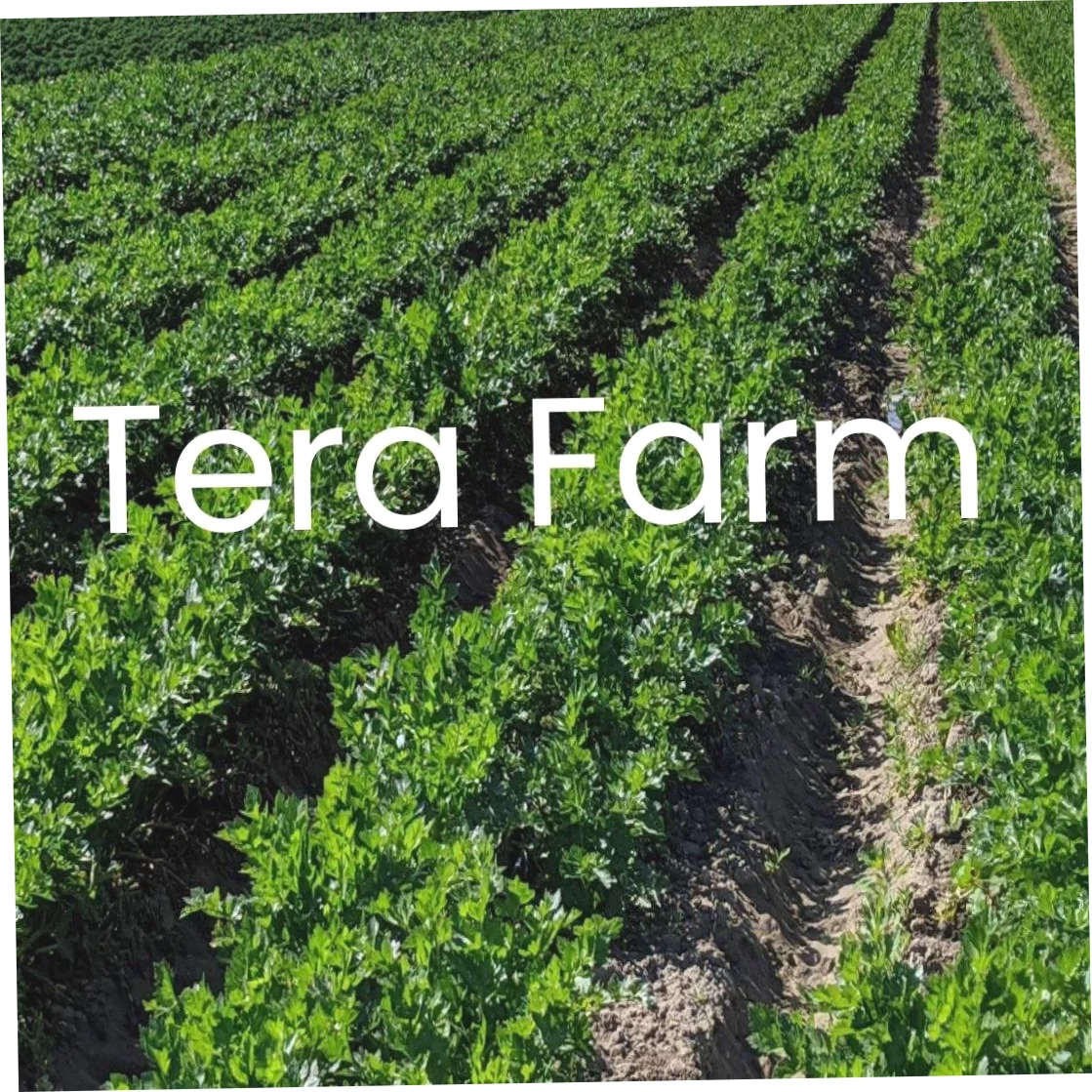 Tera Farm