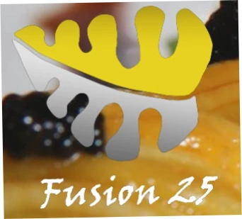 Fusion 25 Newtown