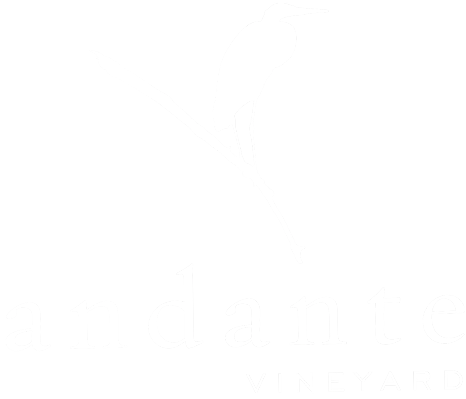 Andante Vineyard
