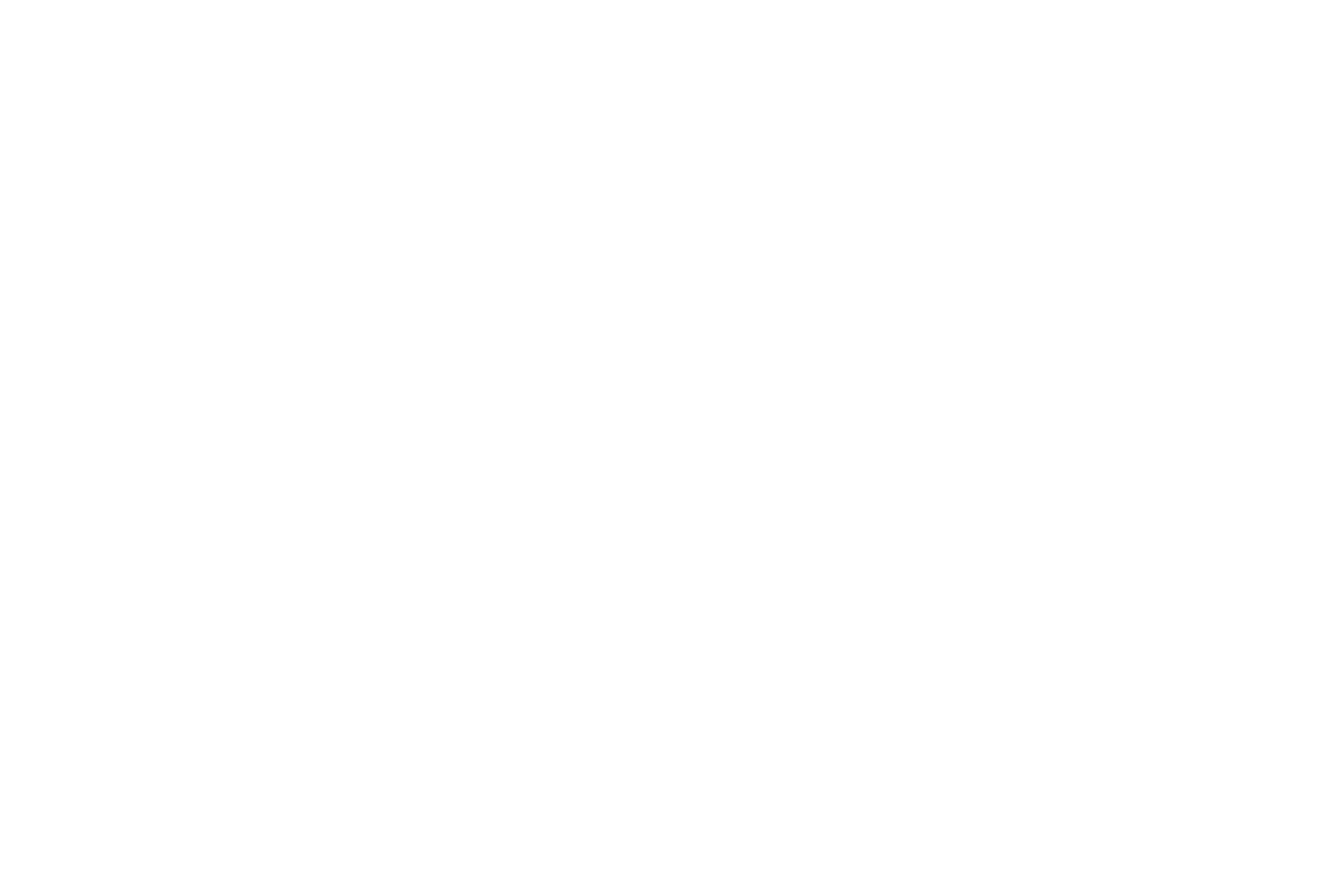 Johnny ZS Pizza