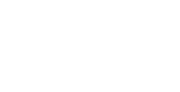 IL Bosco Pizza