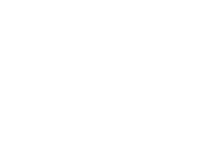 Wok Fire