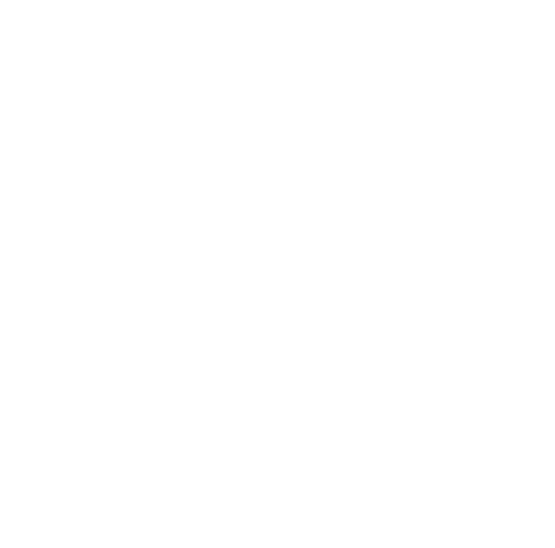 Box Burger