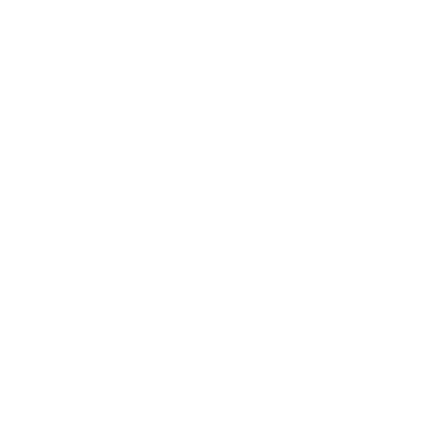 Burger City Grill