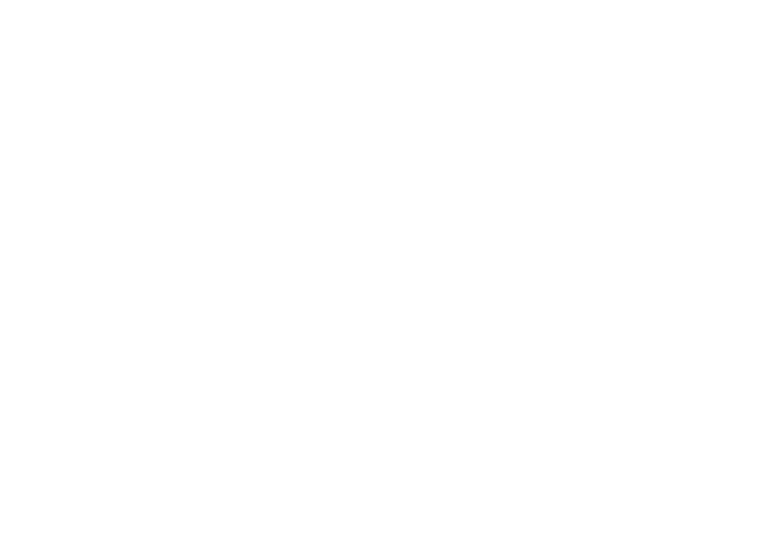 The Southern Salad