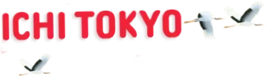 Ichi Tokyo Rochester Mn