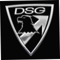DSG Arms