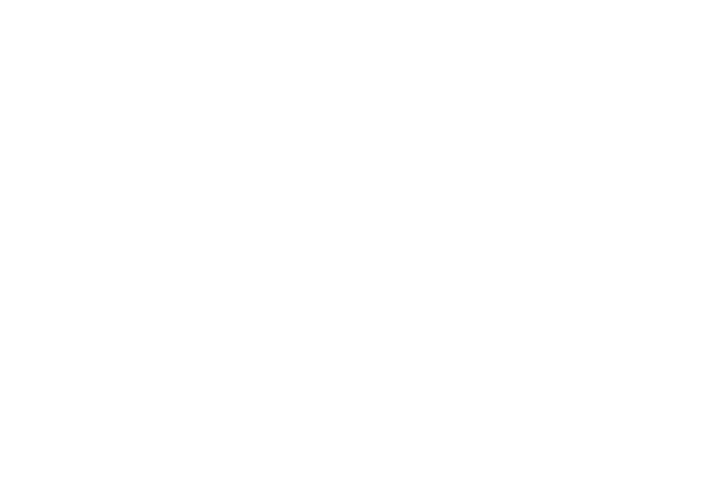 Wasatch Arms