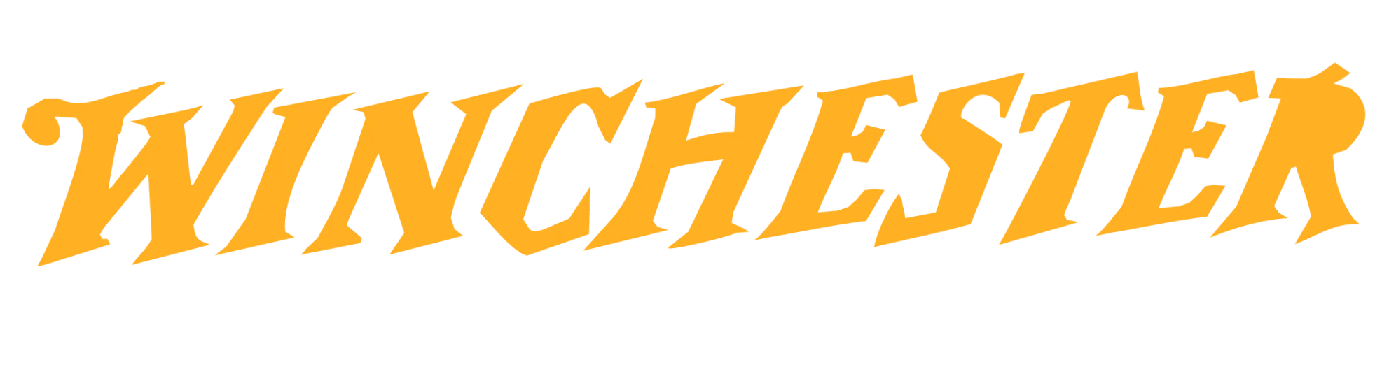 Winchester Gun Store